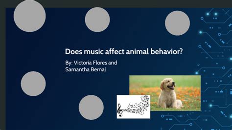 Does Music Affect Animal Behavior? Or Is It Just a Musical Misunderstanding?