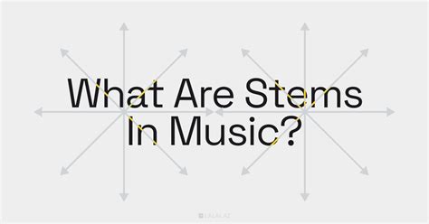 stems music meaning: The rhythm of the universe: How music reflects and shapes our emotional landscapes.